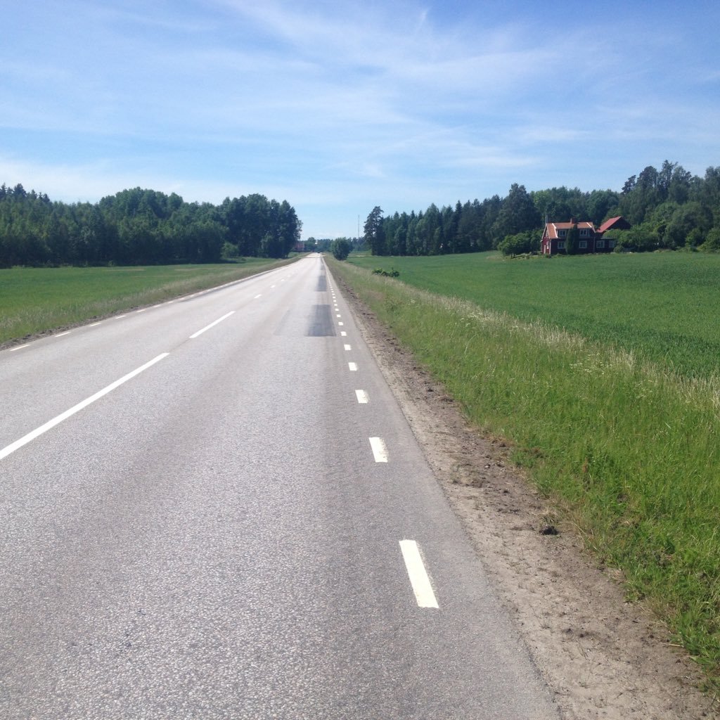 Störst o bäst på mangold. kungen av mangoldianerna....