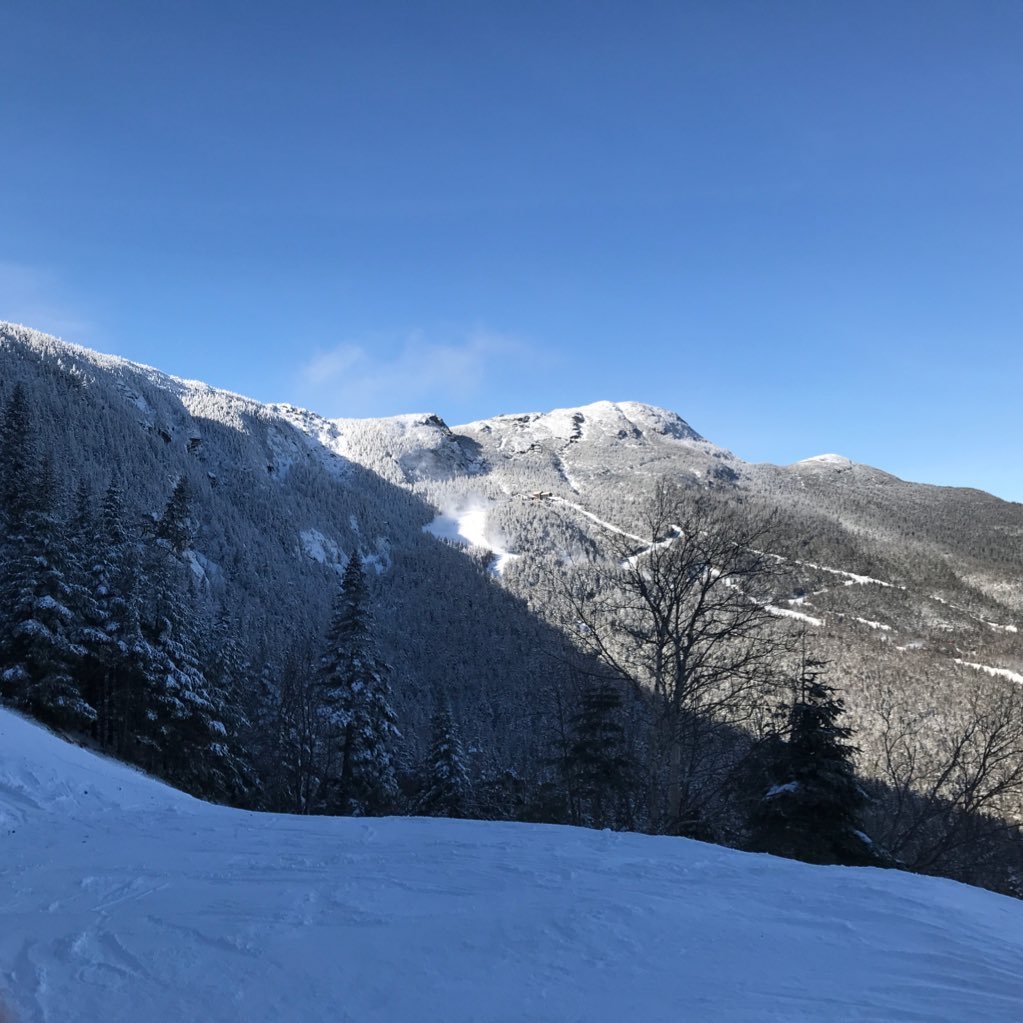 jarrp's profile picture. 