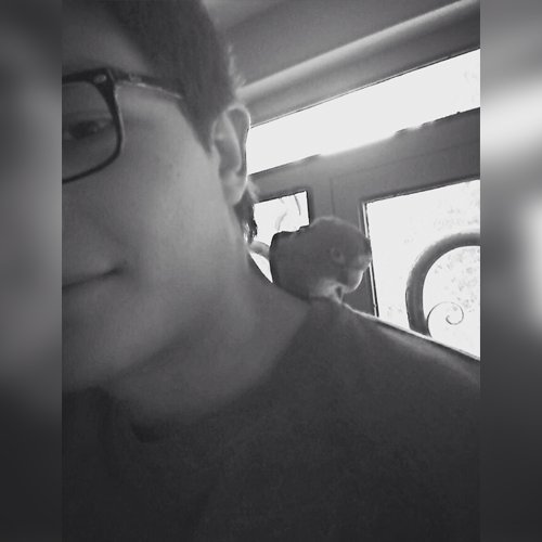 alandospuntos3's profile picture. 23