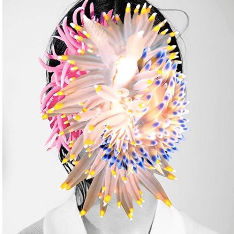 deannecheuk's profile picture. Transitionist