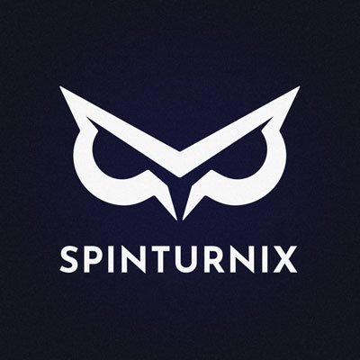 SpinturnixInc's profile picture. Shopify Expert. Design & Development.