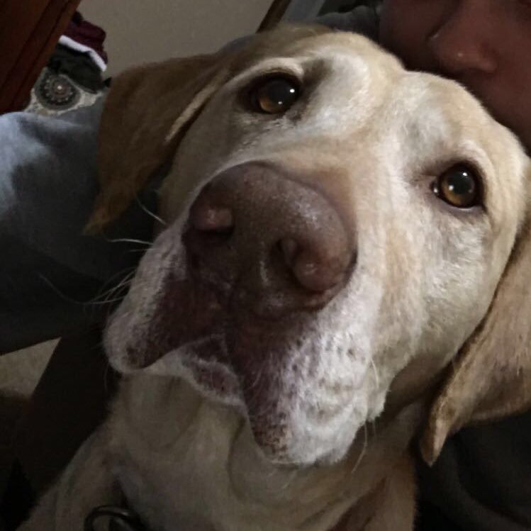 jeterbarnes's profile picture. everything is my favorite thing