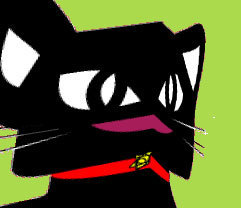 kuronekonosuke's profile picture. せかぃには ぃろぃろな ねこがぃるょ。