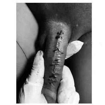 Huang134411's profile picture. 