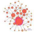 systemsbio's profile picture. A twitter dedicated to medical application of systems biology