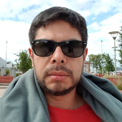 Consultor de Empresas en materias de Administración y Finanzas. De profesión Contador Auditor y en este momento cursando Ingeniería Comercial.