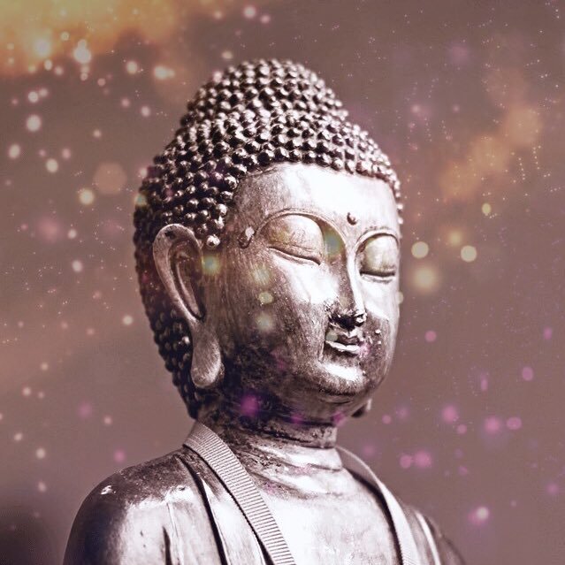 SC60819792's profile picture. 제악막작 중선봉행 자정기의 시제불교
what you think, say and do determine your kamma