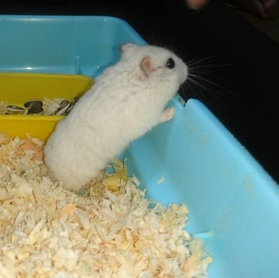 Simplestyle_19's profile picture. 聖地巡礼。