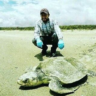Médico Veterinario de Fauna silvestre,
Ecología y medicina de conservación