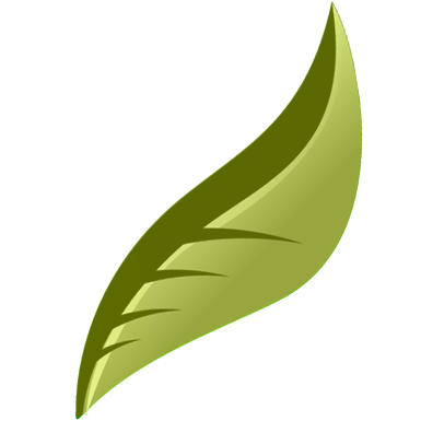 GesundRegion's profile picture. Sie möchten Informationen über medizinische Angebote der Region? Sie suchen fachkundigen Rat rund um alle Themen der Gesundheit?