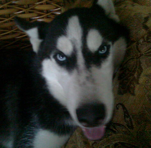 Nirawan_kib's profile picture. จนก็ย่ำยี  มีก็อิจฉา