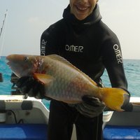 Dupau julien (@juliendupau) 's Twitter Profile