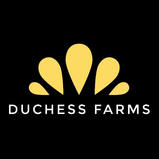 Home of @DuchessOil, growing heritage wheat for @e5bakehouse and plenty of other great stuff