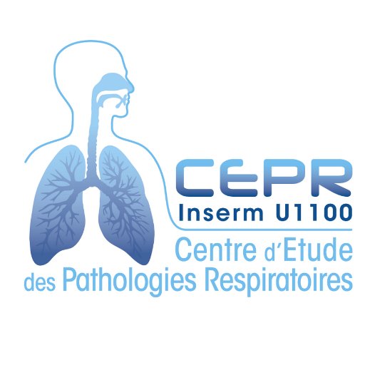 Views of N. Heuzé-Vourc'h, Leader of '#AerosolTherapy & #Biotherapeutics' team at the #Research Center for Respiratory Diseases  (french 'CEPR' @Inserm).