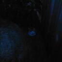 jack  chesterman - @wackyGalaxymax - Twitter