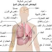 awodhAlotaibi's profile picture. 