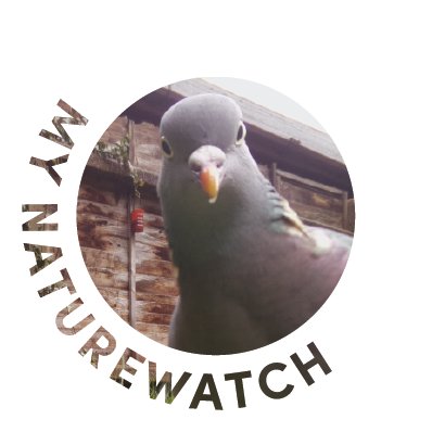 The My Naturewatch Camera is a DIY wildlife camera, find all instructions to make one yourself on our site (by @irs_goldsmiths & @RCA)