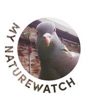 My Naturewatch (@mynaturewatch) Twitter profile photo
