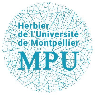 Création d'un herbier - Ville de Montpellier