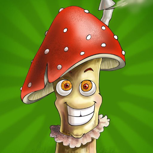 mushroom_crypto Profile Picture