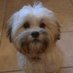Shirley Johnston (@shirley19970369) Twitter profile photo Shirley Johnston (@shirley19970369) Twitter profile photo
