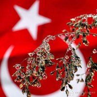 ☝❤Ⓜustafa selda♥💖 (@kaya_tolos) Twitter profile photo