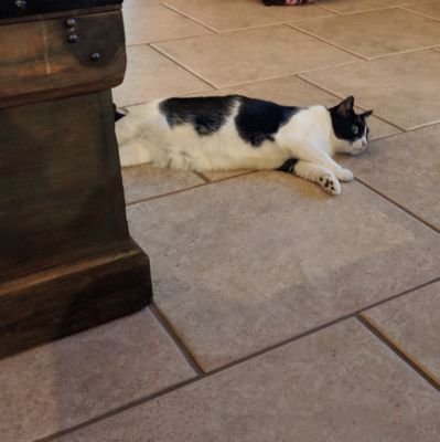 EmployedEric's profile picture. From San Diego, CA, but grew up in Sarasota, FL