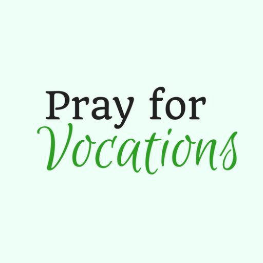 Serving the U.S. Catholic Bishops in their mission to foster a culture of vocations. Follows/RTs are not endorsements