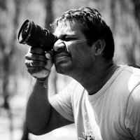 Vivek (@vivekkumarknan) 's Twitter Profile