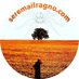 Seremailragno.com™ (@seremailragno) Twitter profile photo
