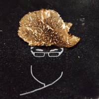 Don Giovanni (@atumbarello) 's Twitter Profile Photo