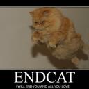 mark hammill - @donkeysrock72 - Twitter