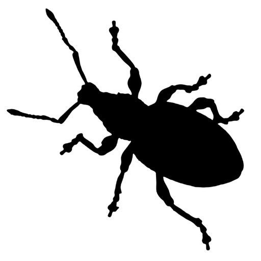 Marshmail's profile picture. Photographer, telling Natural History stories through photos and video