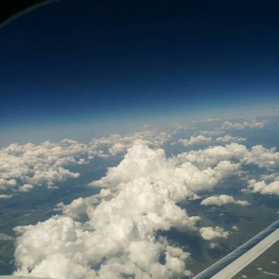 ciris_represent's profile picture. 