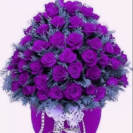 محبٌّ للعربية. متابعٌ جيدٌ للمنشغلين بها. أعتقد أني أجيد القراءة أو أحاول. وأجزم أني أحاول الكتابة. في  طريقي إليها مازلتُ مجاهدًا. رئيس قسم العربية ومدرب.