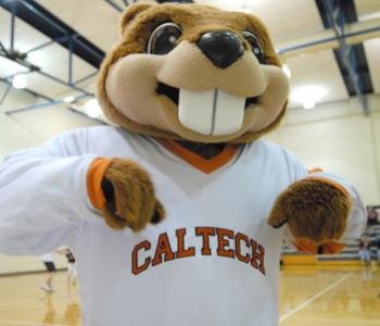CaltechRec Profile Picture