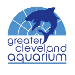 Touch a stingray. Count the suckers on a octopus arm. See rare weedy seadragon hatchlings. Stand under a sandtiger shark. #natureiscurious #cleaquarium