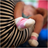 kidspics's profile image
