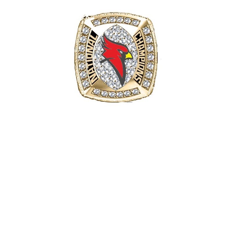 Defensive Coordinator Birmingham Prep Cardinals