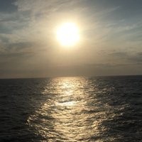 x (@dirtnutz) 's Twitter Profile