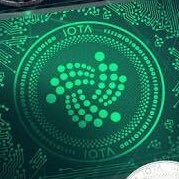 omisego1's profile picture. bitcoin is the future 木木木