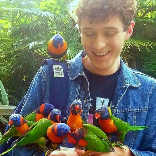 alxm97's profile picture. He/Him - @alxm97priv