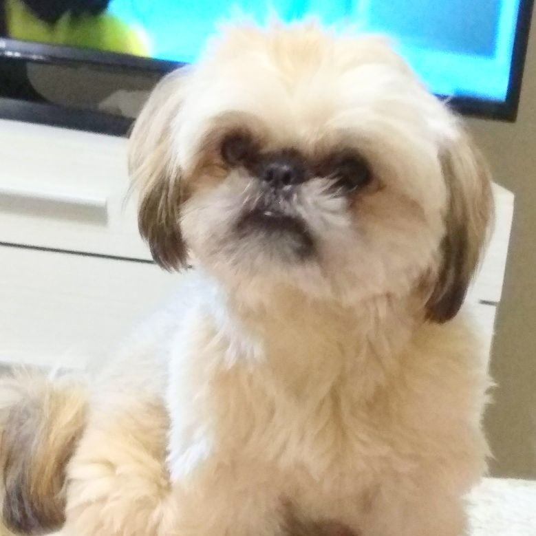 kekioar's profile picture. 