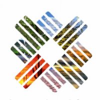 Asociación BIOTA (@asoc_biota) 's Twitter Profile