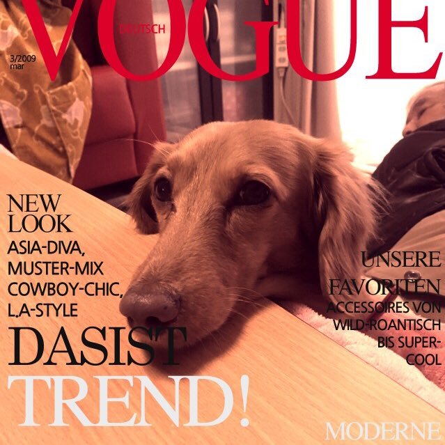 Mitchie823's profile picture. Instagram@mitchie823/嵐命💕/Music,Live,Movie,Cosmetics,Vivienne Westwood/MerryGoRound,RIZE,AA＝,NIN,MarilynManson,Evanescence/Tim Burton/ALBION,JILLSTUART,RMK,etc