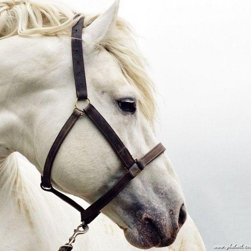 Sarah_S712's profile picture. 