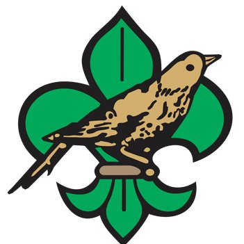 GrupoToutinegra's profile picture. 