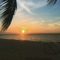 arellano0904 (@arellano0904) 's Twitter Profile