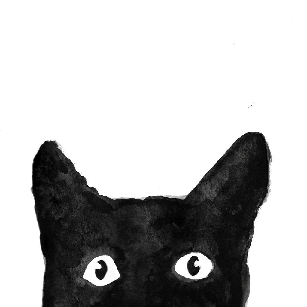 SteveWPNW's profile picture. Curious investor. $tsla put seller.