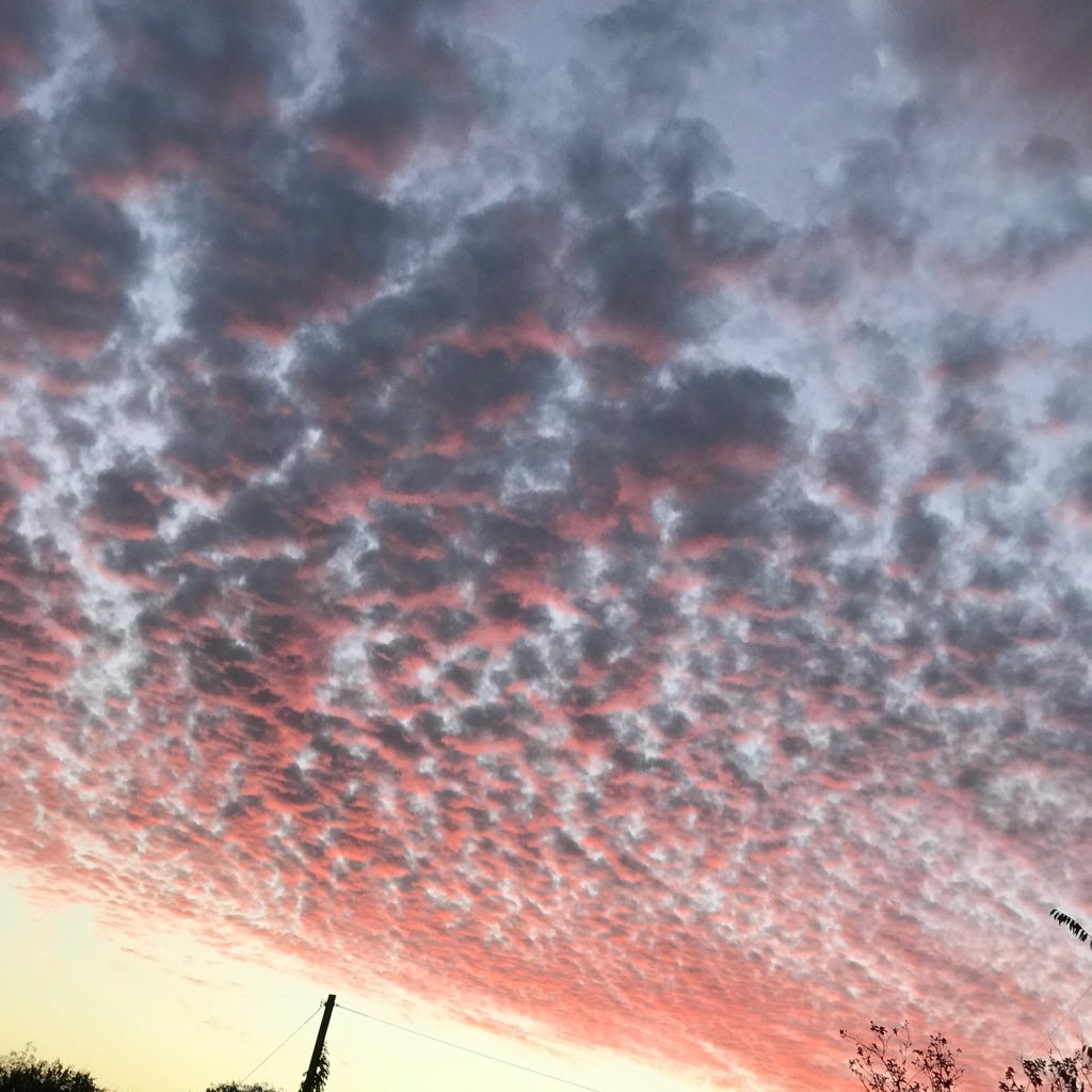 Saddnibbaahour1's profile picture. Angel,Klebs,Silvan